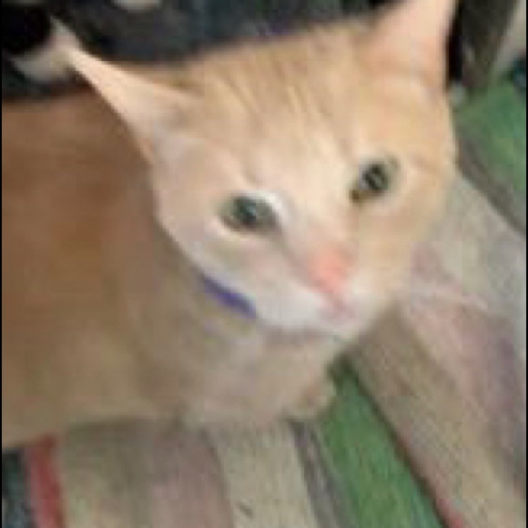 Meet your Posher, Clare - Picture 1 of 1